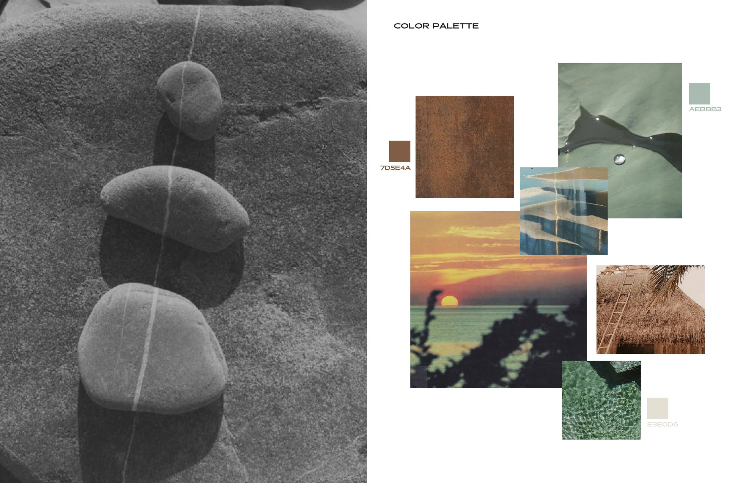 HALE TEMPLATE-07.jpg