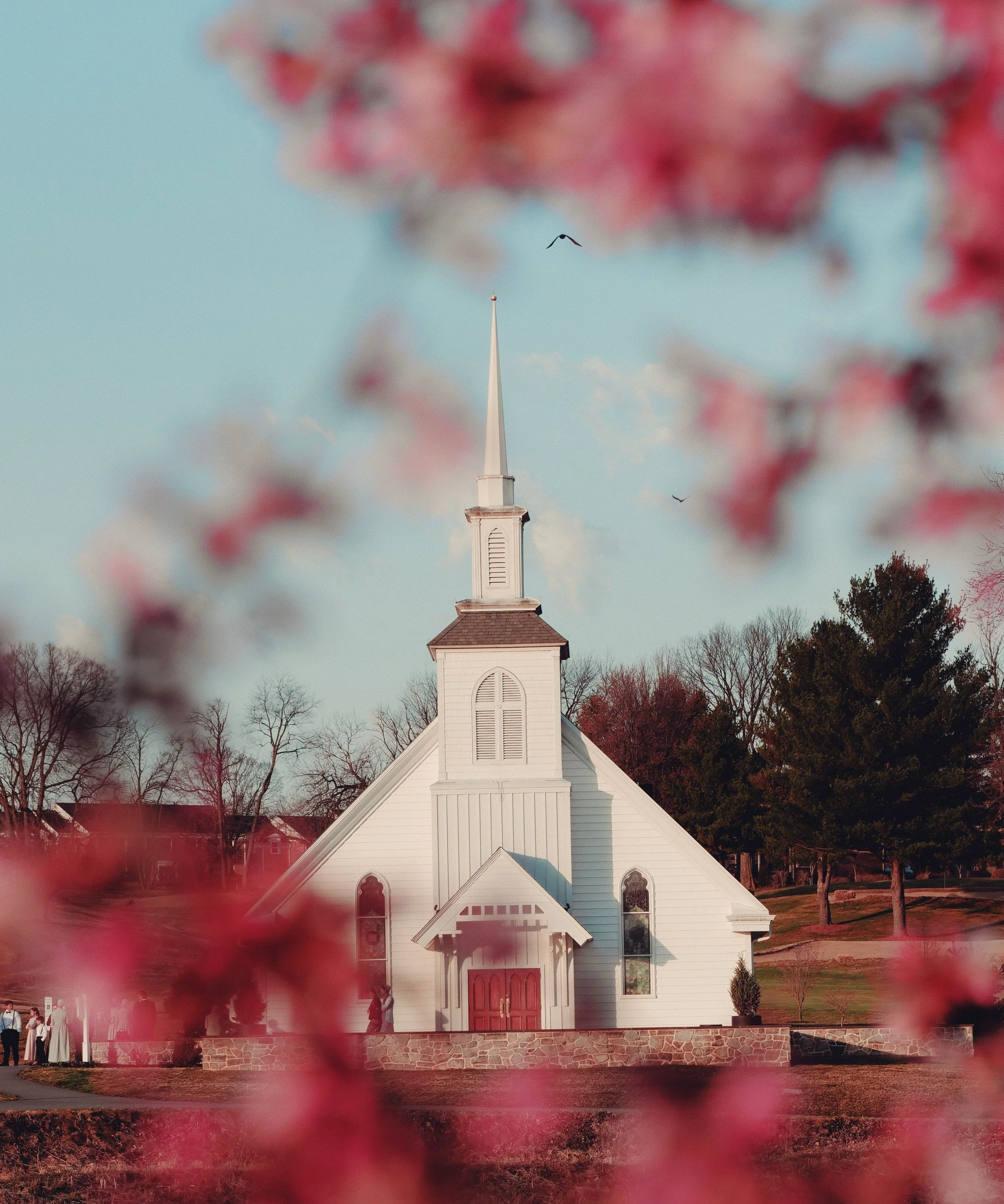 A white church with a tall steeple and red doors is visible, framed by out-of-focus pink flowers. There are people gathered outside the church, and trees with bare branches can be seen in the background on a clear day.