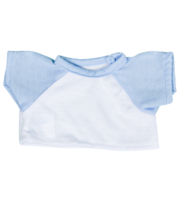 Raglan - Light Blue Sleeves