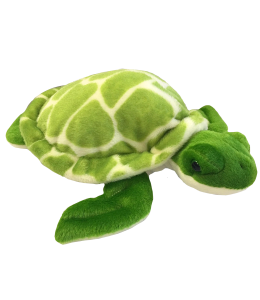 Shelldon the Sea Turtle