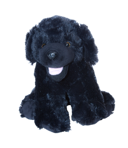 Shadow the Black Lab