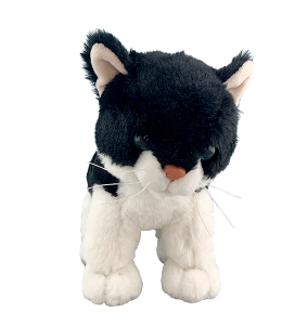 Salt & Pepper the Cat