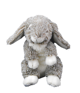 Forest the Hoppy Bunny