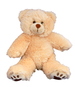 Furry the Brown Bear