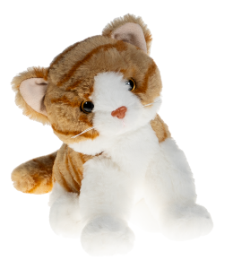 Creamsicle the Tabby Cat