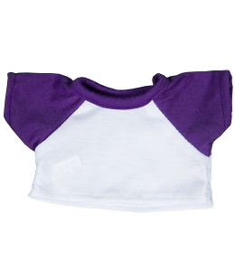 Raglan - Purple Sleeves