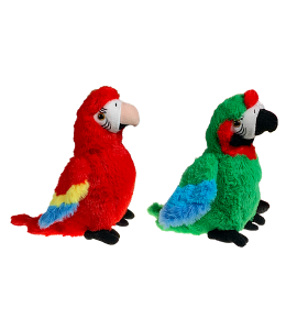 Preston & Pandora the Parrots