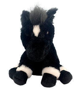 Black Jack the Horse