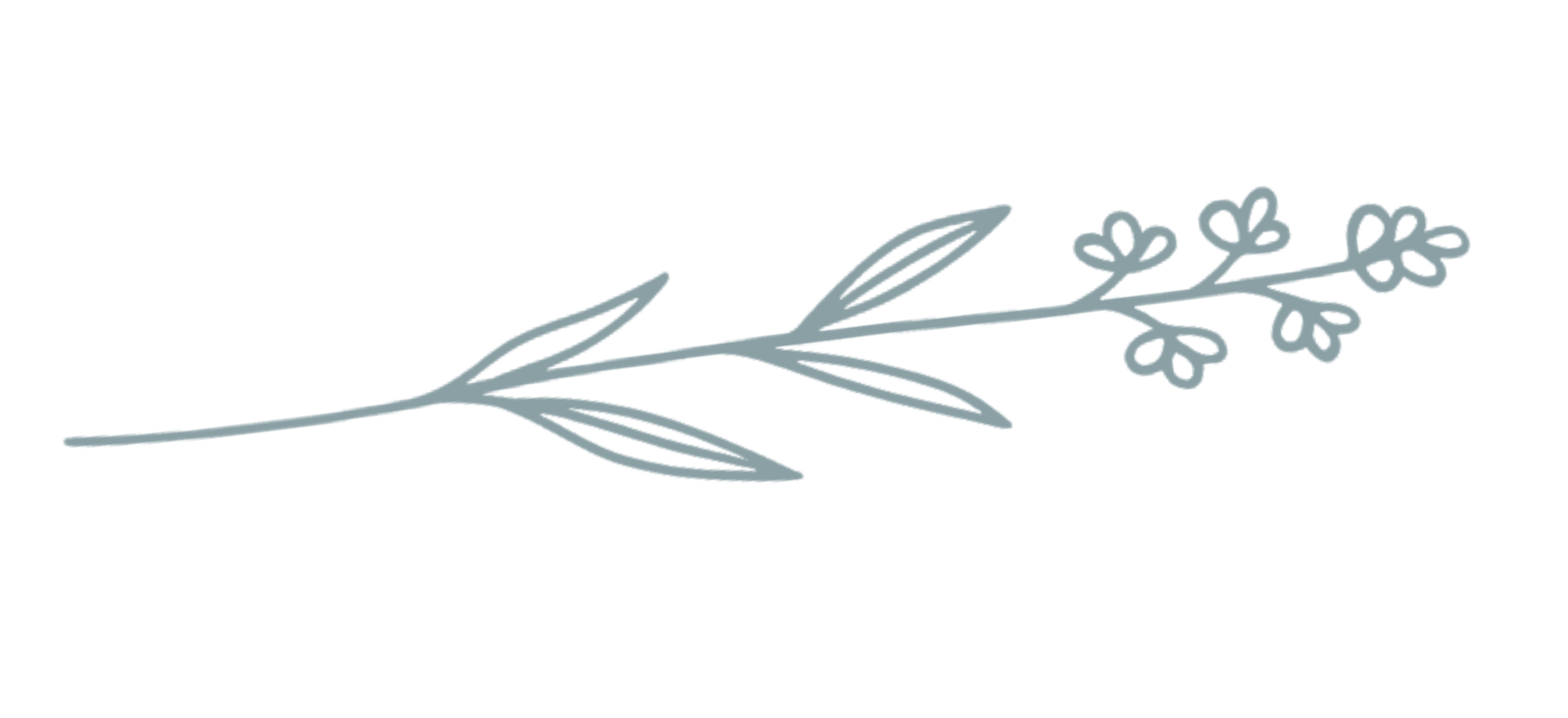 A simple, hand-drawn illustration of a sprig with leaves and small flowers in a light gray color.