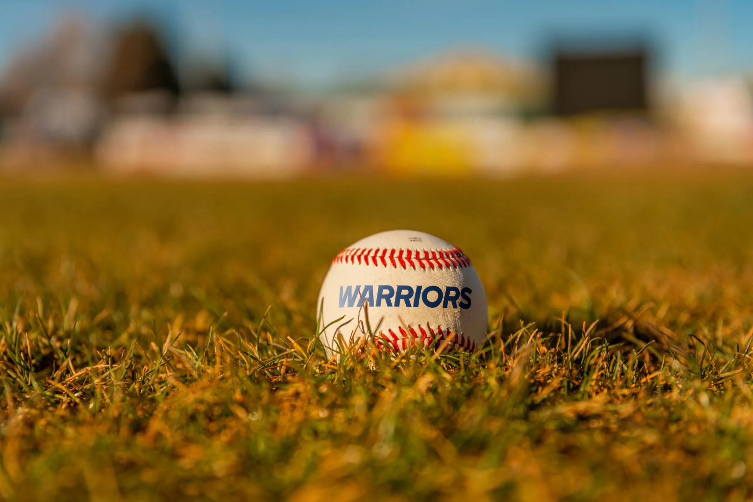 Baseball with 'WARRIORS' written on it, lying on a grass field with a blurred background.