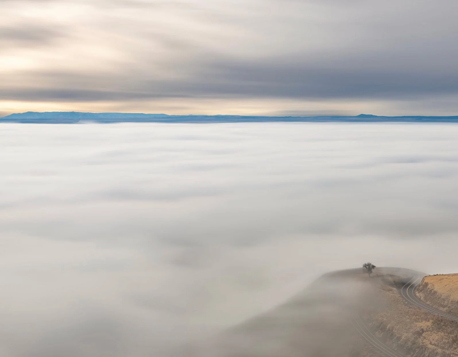 A landscape scene with a vast expanse of fog covering the ground, with a distant mountain range on the horizon and a single tree on a hill in the foreground.