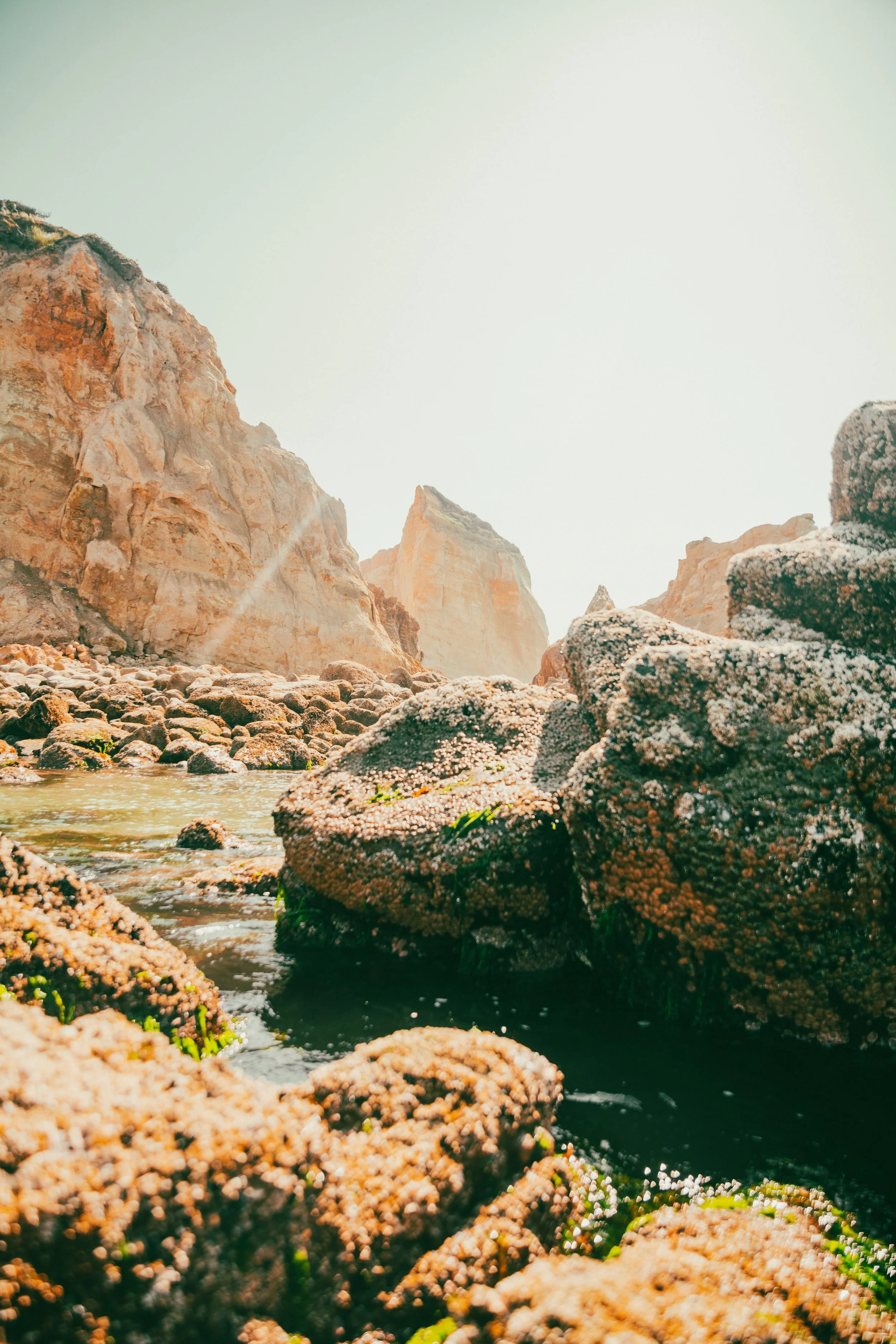 Rocky coastline with large rocks covered in barnacles and a small water stream, with towering cliffs in the background and a clear sky.
