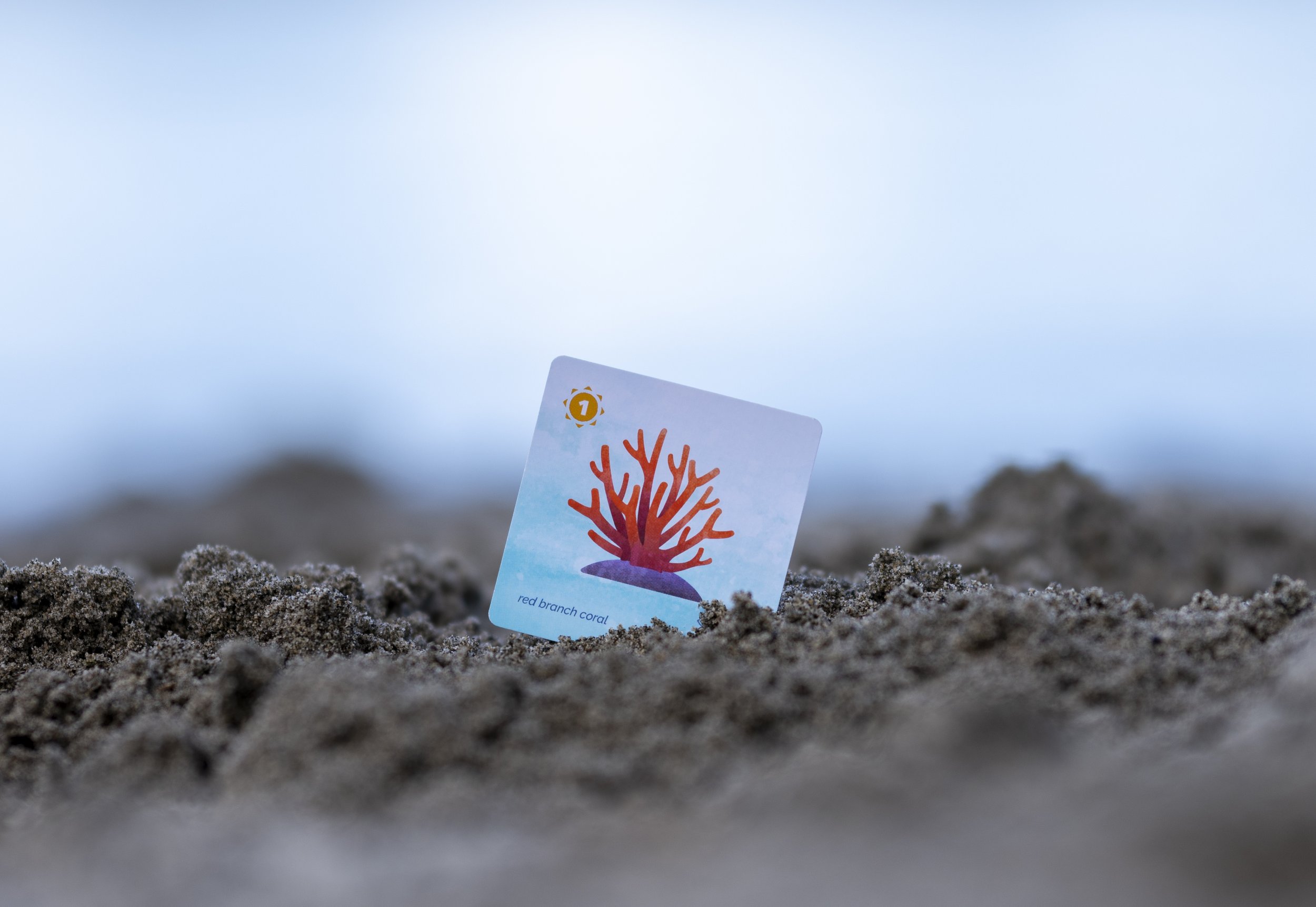 A card depicting a red branch coral illustration, placed in sand on a beach with a blurred background.