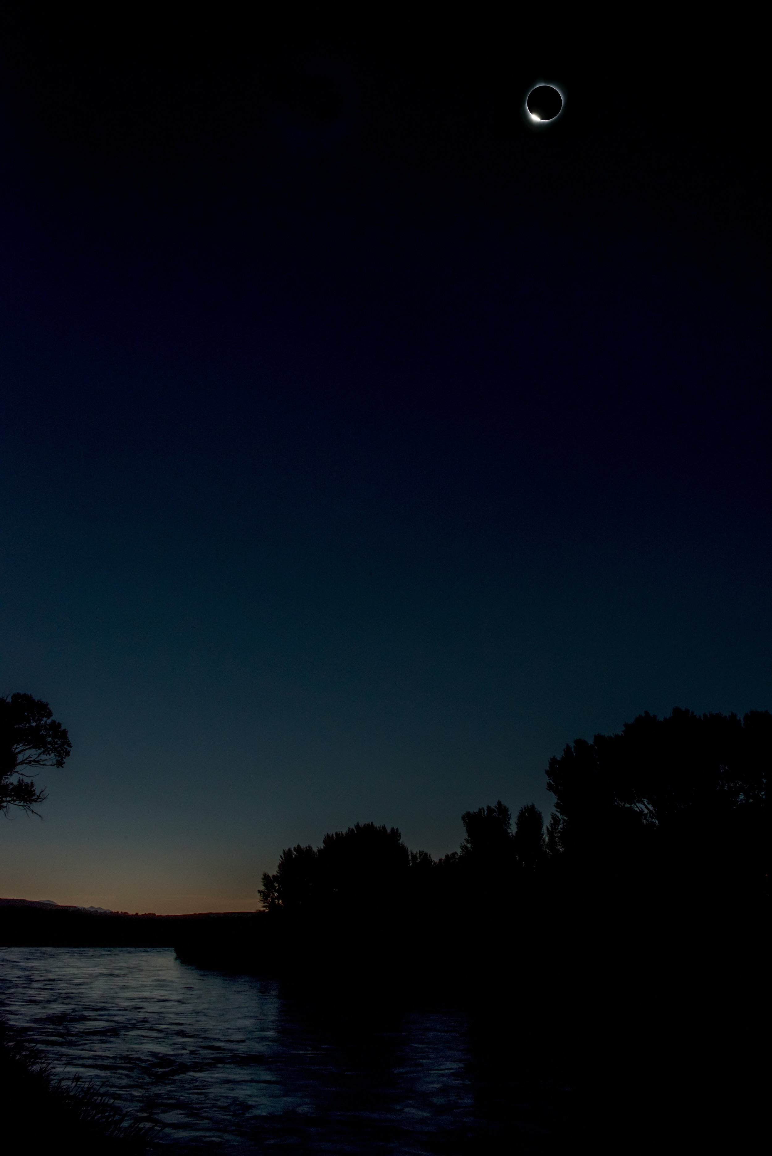A night scene with a dark sky featuring a solar eclipse and a silhouette of trees along a water body.