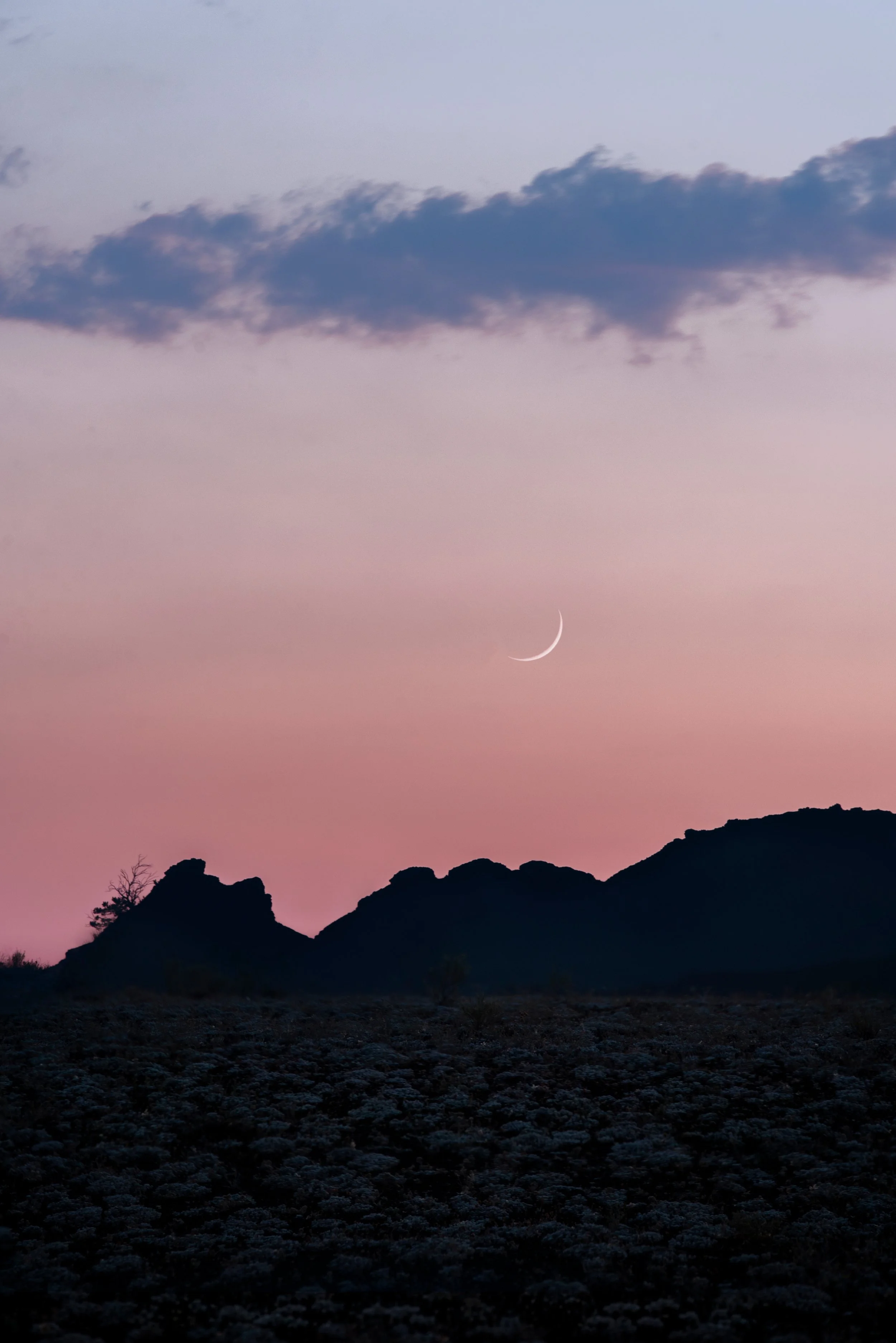 A landscape at dusk with a pink and purple sky, a thin crescent moon, dark mountainous silhouette, and sparse desert vegetation in the foreground.