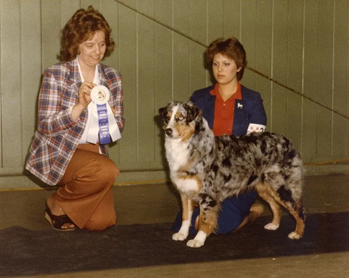 A woman kneeling on a dark mat holding a blue ribbon, next to a merle Australian Shepherd dog, with another woman in a military uniform sitting beside the dog.