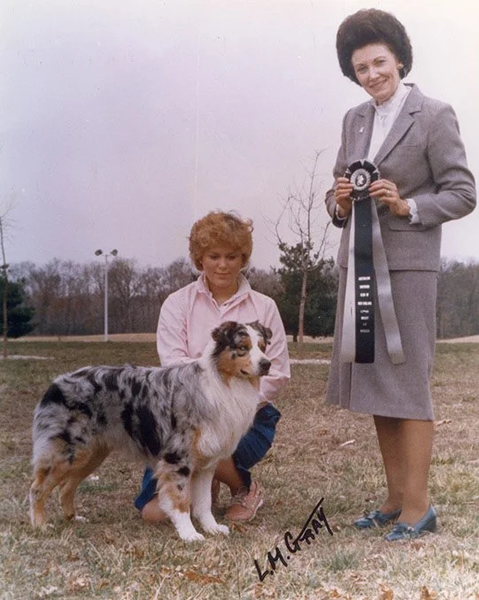 A woman in a gray suit holding a camera, a young girl with curly hair kneeling beside an Australian Shepherd dog, in an outdoor park setting with trees and grass.