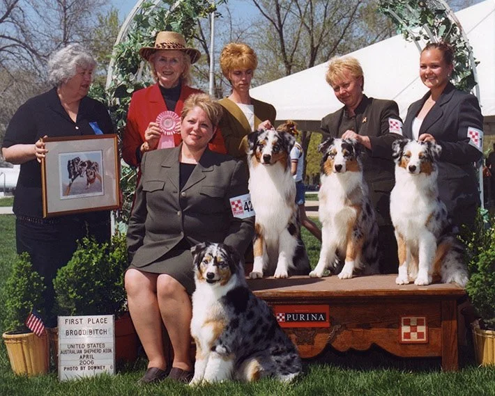 USASA. USASA Nationals. Brood Bitch winner. Nikki Marenbach. Wyndcrest Aussies.