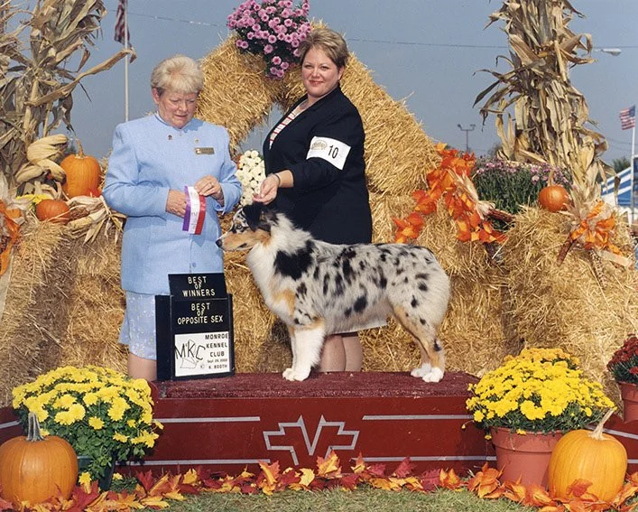 A woman and an older woman in blue holding a ribbon pose with a merle Australian Shepherd on a winner's platform at an outdoor fall fair. There are pumpkins, fall leaves, and let hay bales in the background.