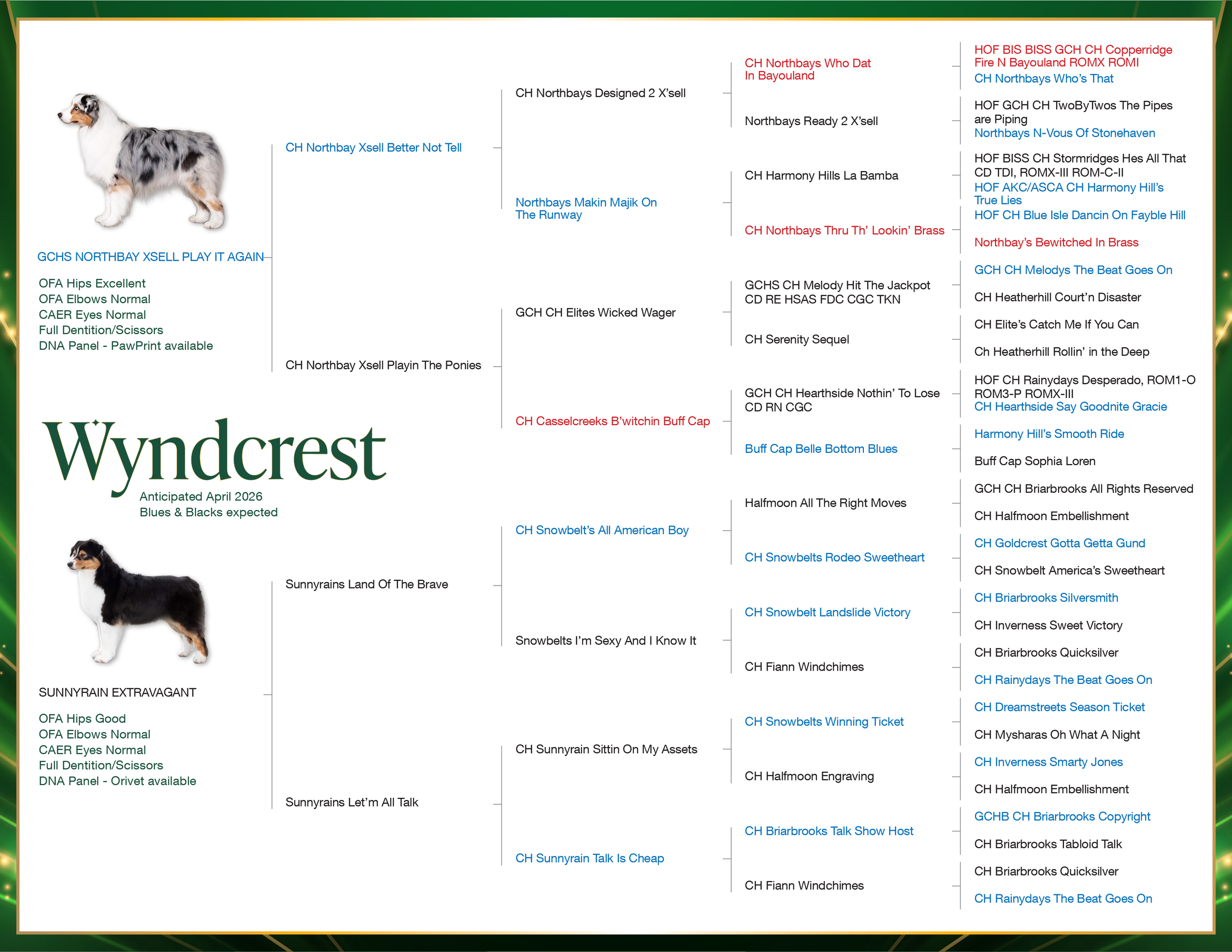 A detailed dog pedigree chart for Wyndcrest, with images of a dog on the left, listing various generations and kennel titles, and a background with a green border and festive design.