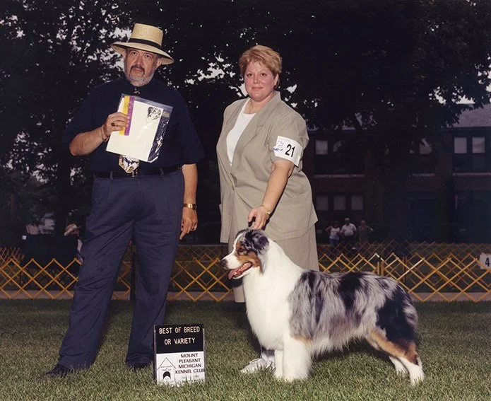A dog show scene with a woman holding an Australian Shepherd and a man holding a certificate, standing on grass with a sign that reads 'Best of Breed or Variety,' in front of orange fencing at a dog competition.