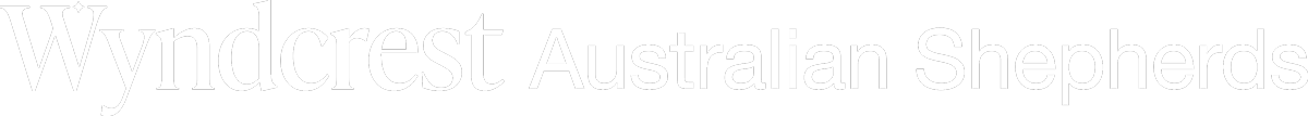 Wyndcrest Aussies