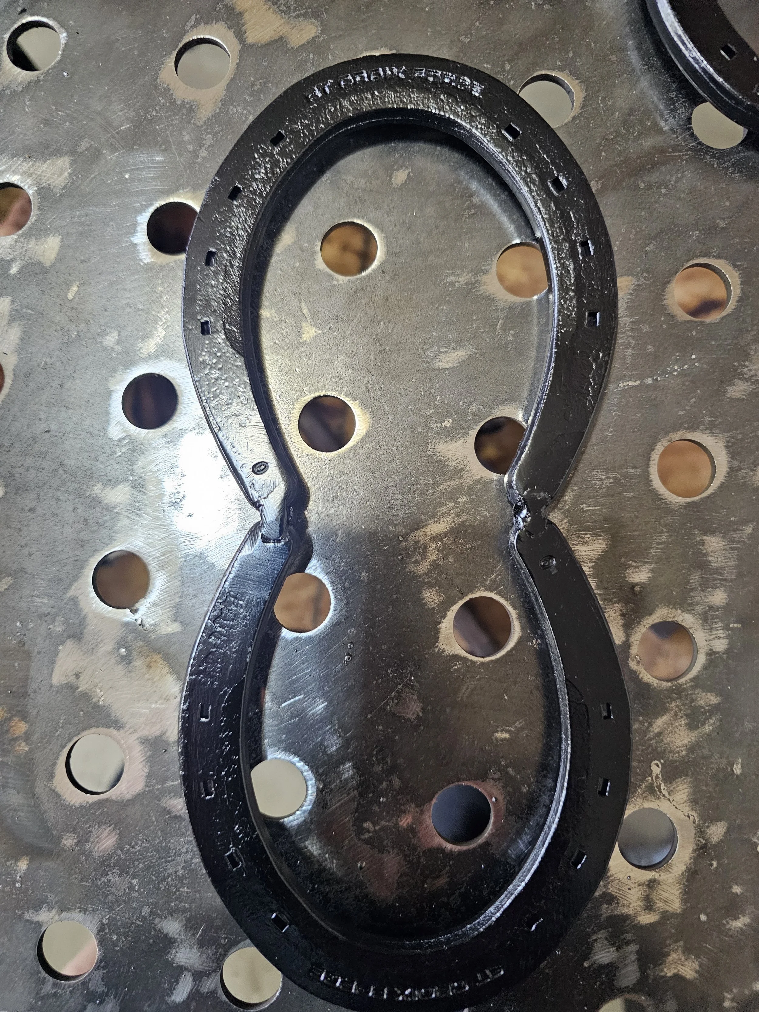 Large Horseshoe  Trivit