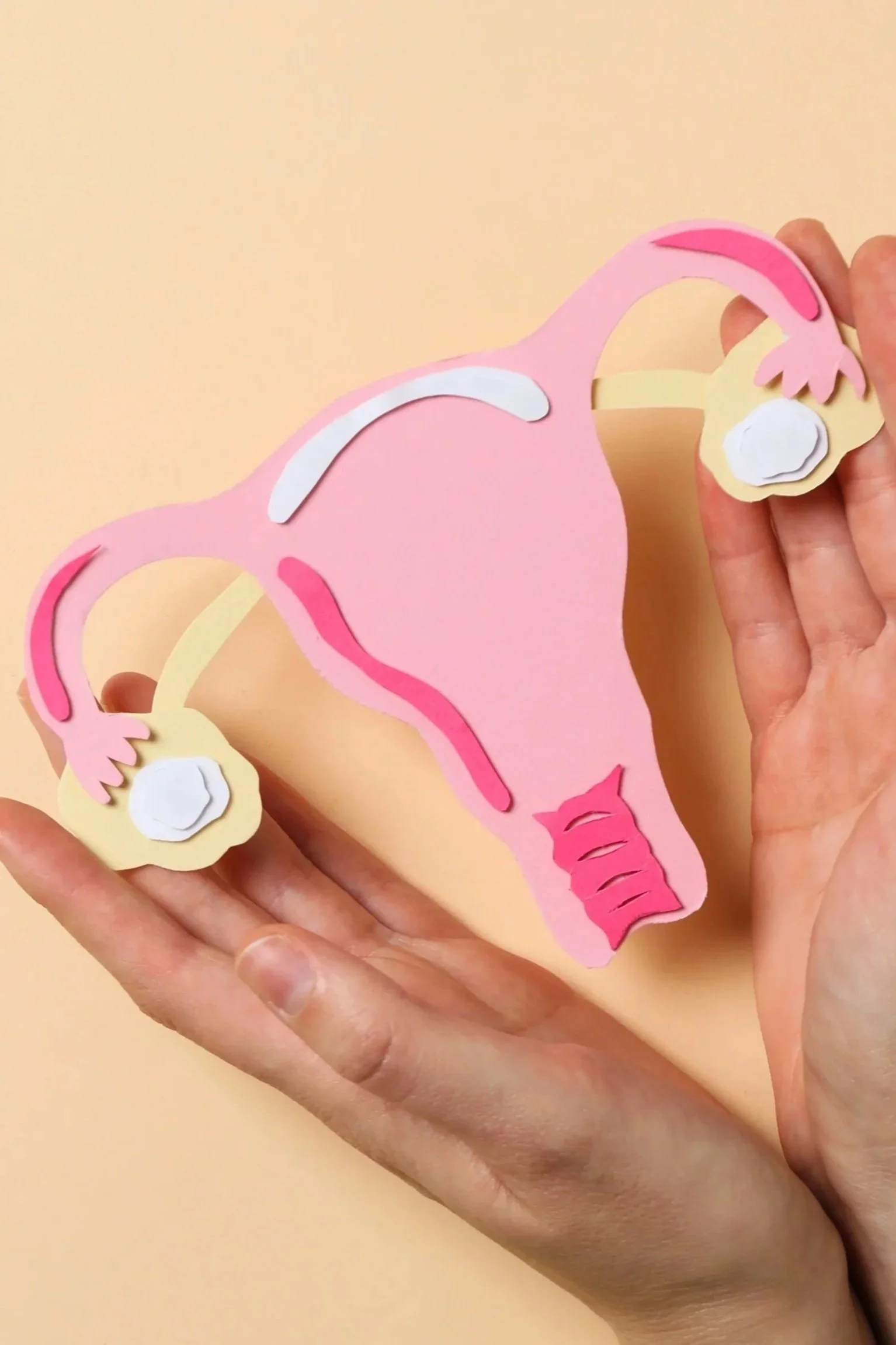 Paper craft illustration of a female reproductive system, including the uterus, fallopian tubes, and ovaries, made with pink, white, and yellow paper.