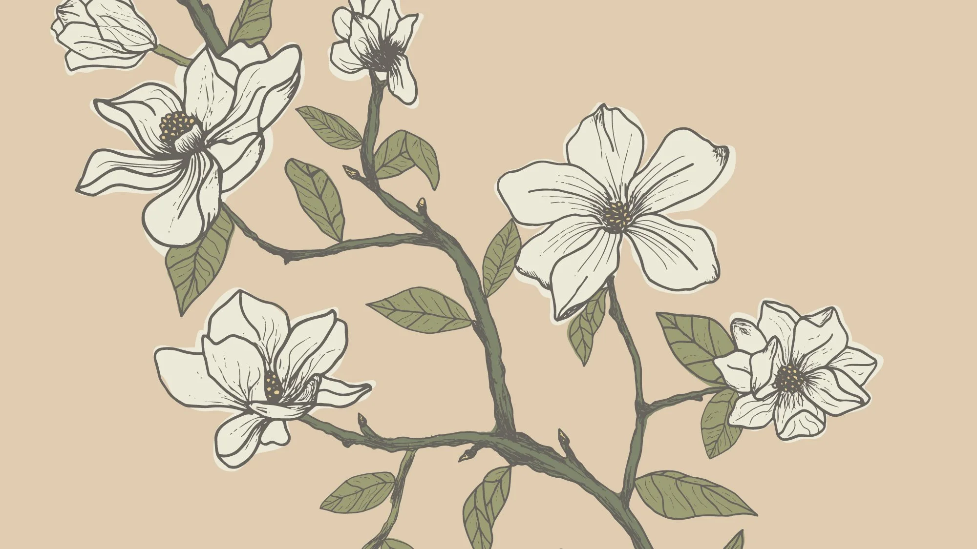 Hand-drawn botanical study of a cream magnolia flower branch with minimal composition, Studies & Atmospherics by SeaClaire Design