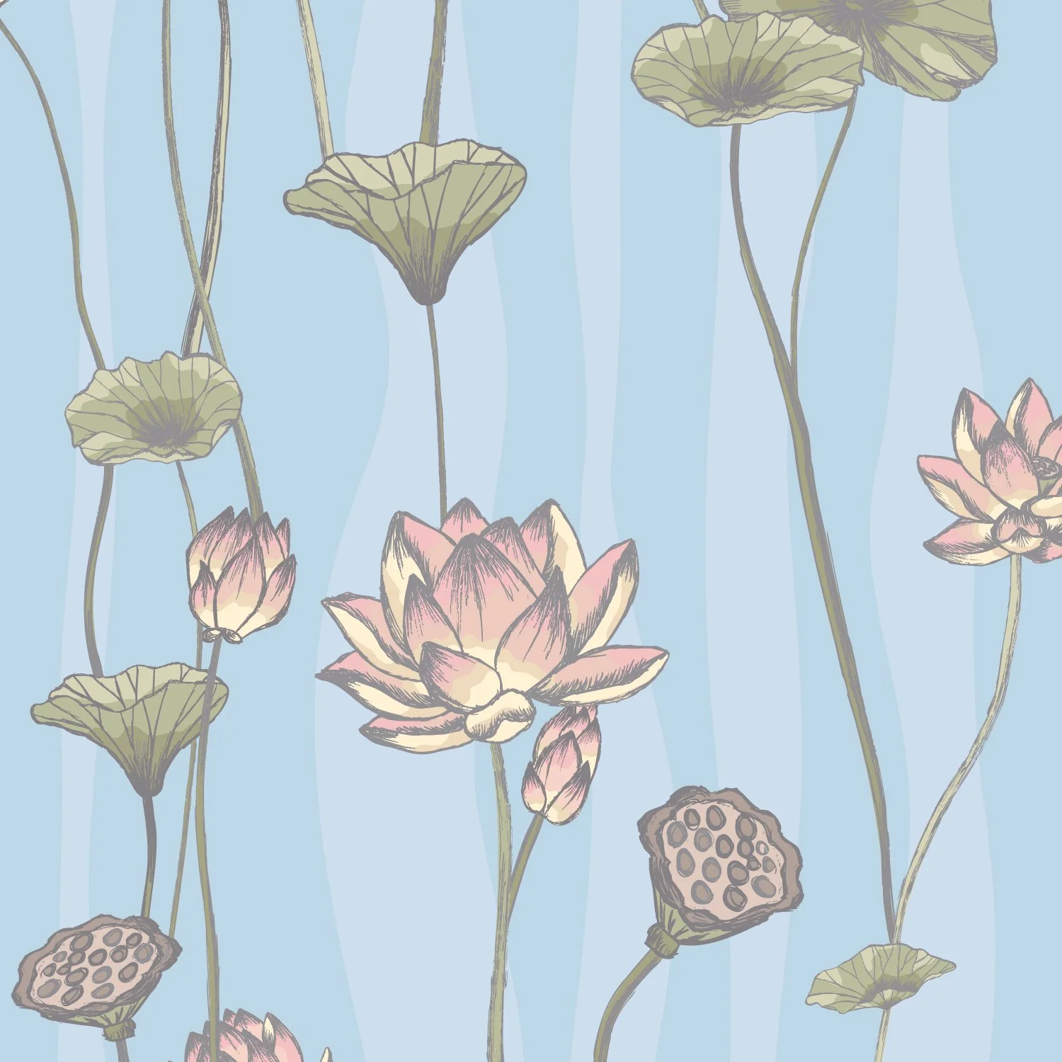 Hand-drawn lotus botanical study with vertical stems and open composition, Studies & Atmospherics by SeaClaire Design