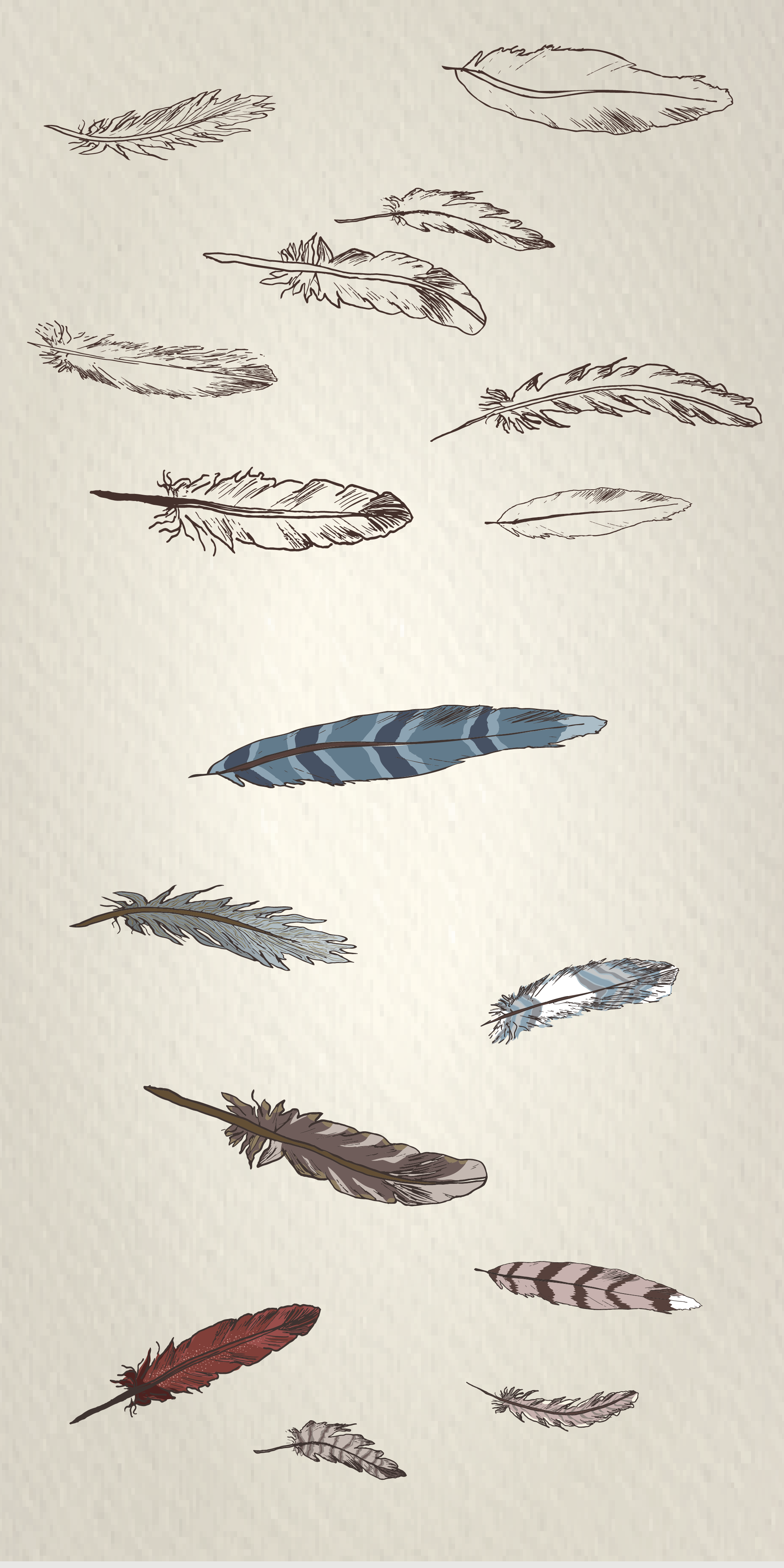 Hand drawn feather motif development for textile pattern, by SeaClaire Design