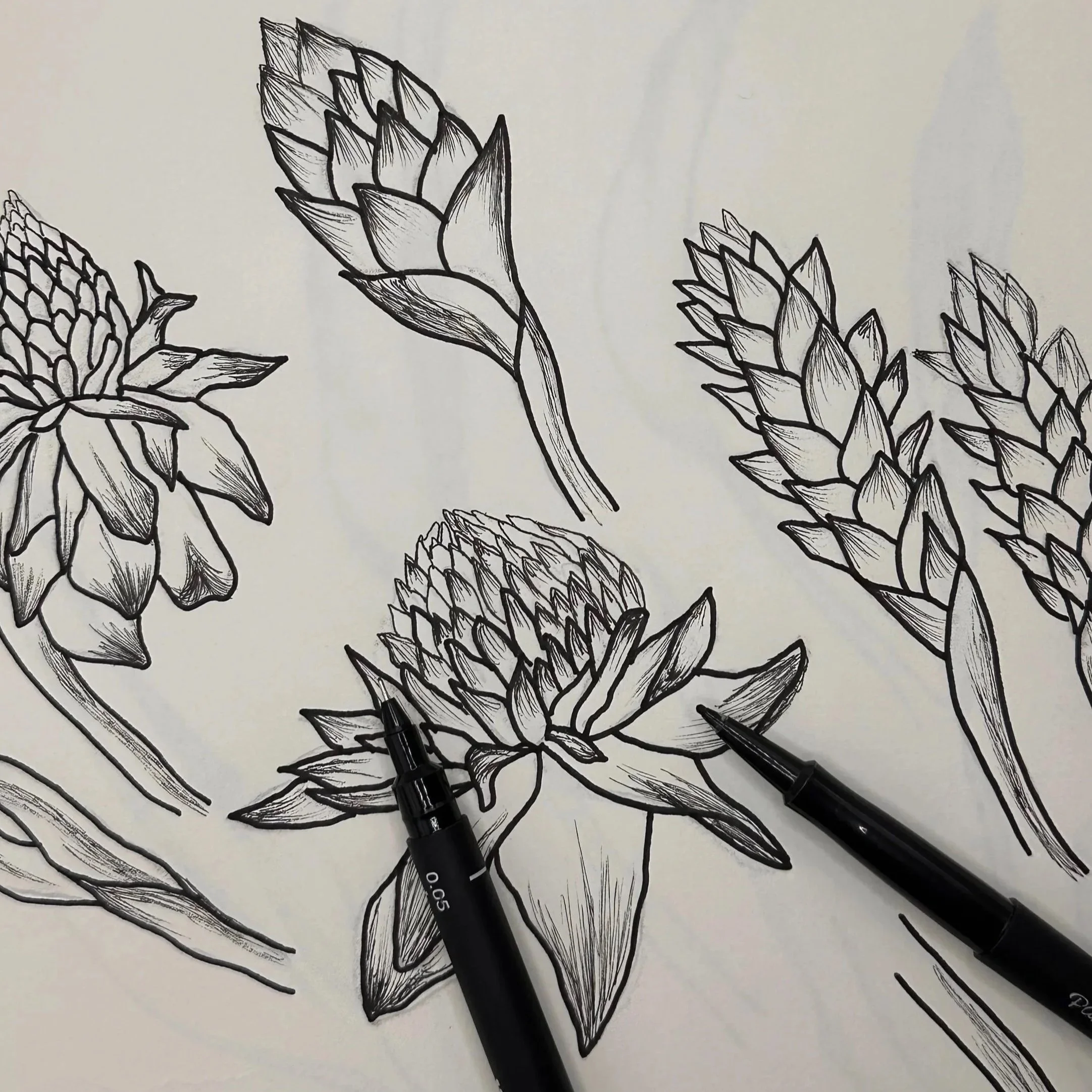 Black-ink botanical sketches and drawing pens from SeaClaire Design Studio’s hand-drawn design process.