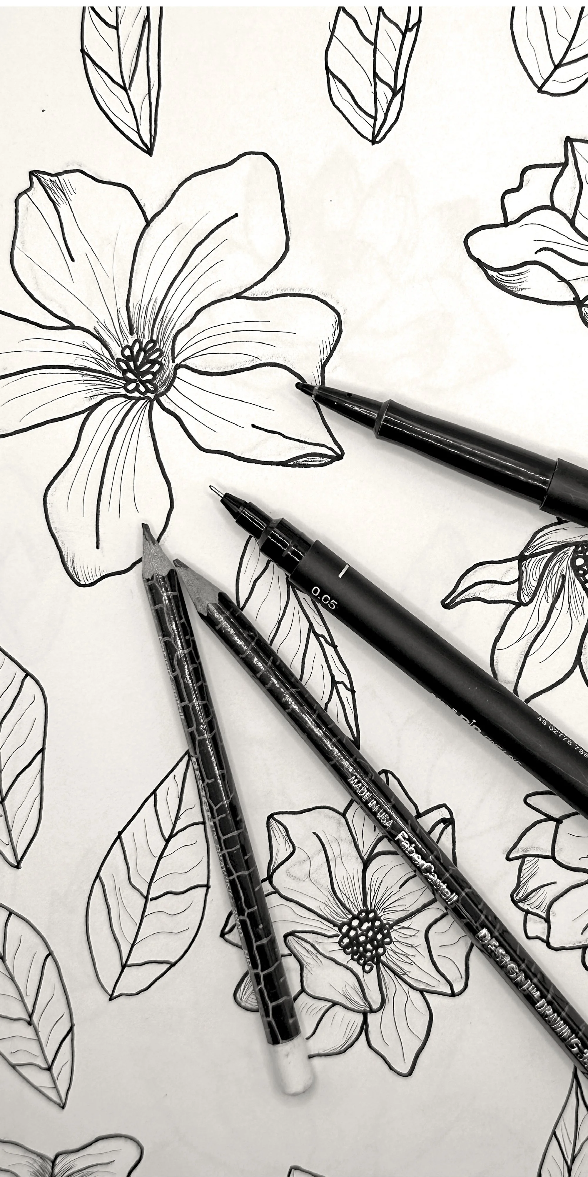 Hand Drawn magnolia branch sketch with pencils, by SeaClaire Design