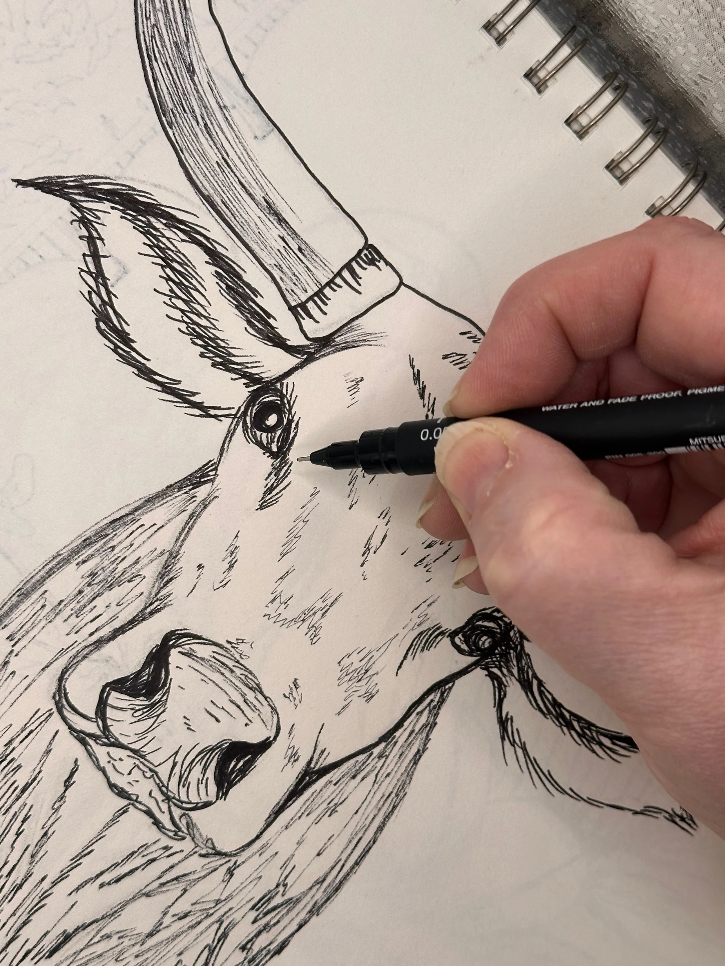 Hand-drawn longhorn sketch in progress for the Texas Lone Star Wilds textile collection