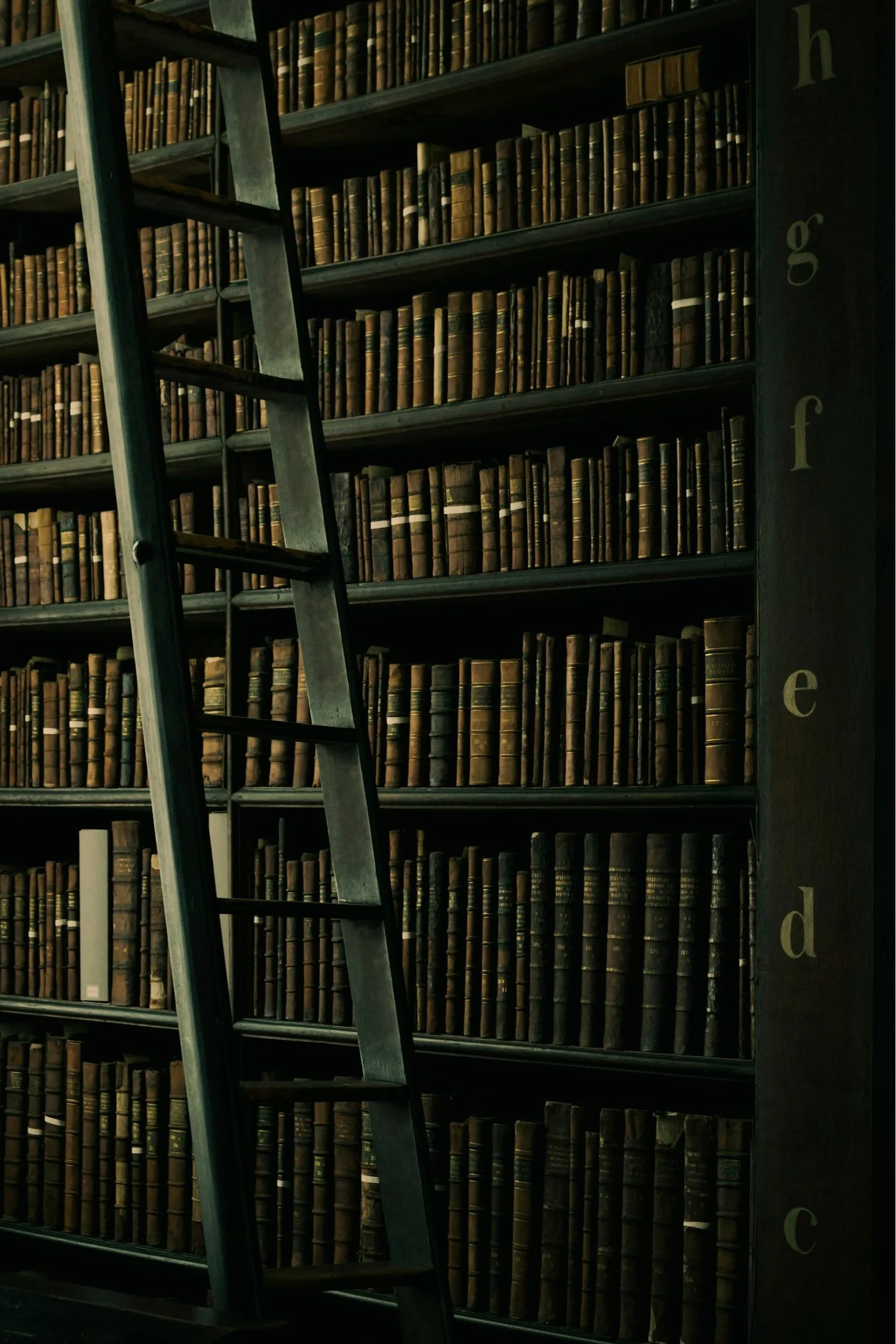 Atmospheric library filled with vintage books and a rolling ladder.