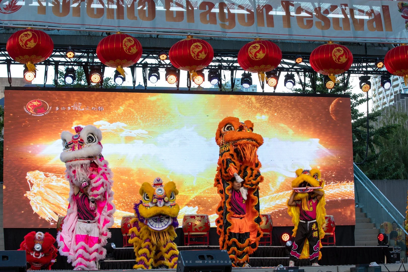 2026 Toronto Dragon Festival