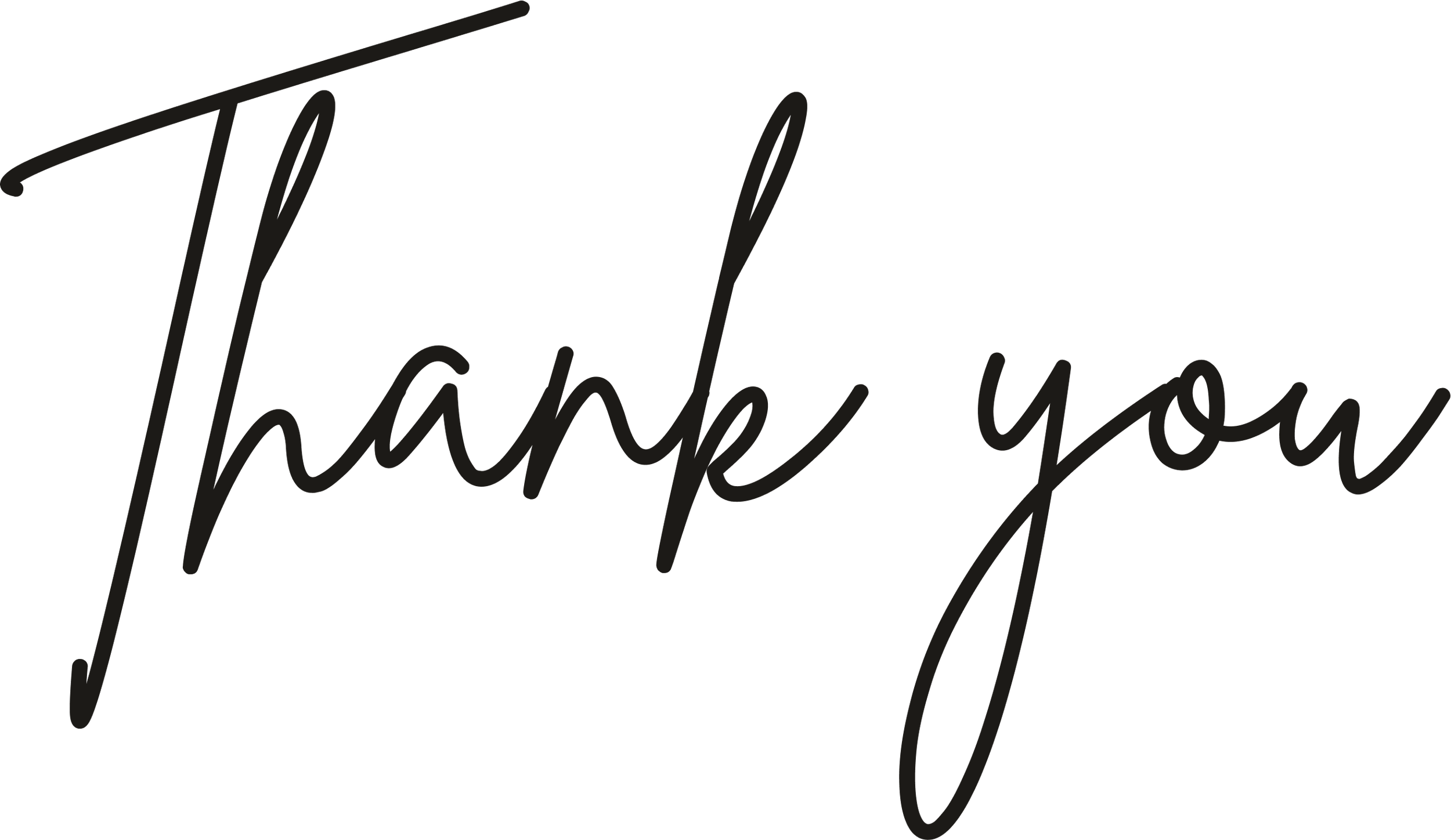 Black background with the words "Thank you" written in elegant, cursive script.