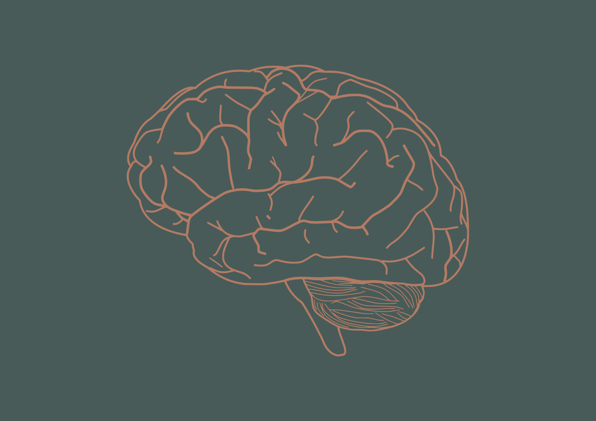 Line drawing of a human brain on a dark background.