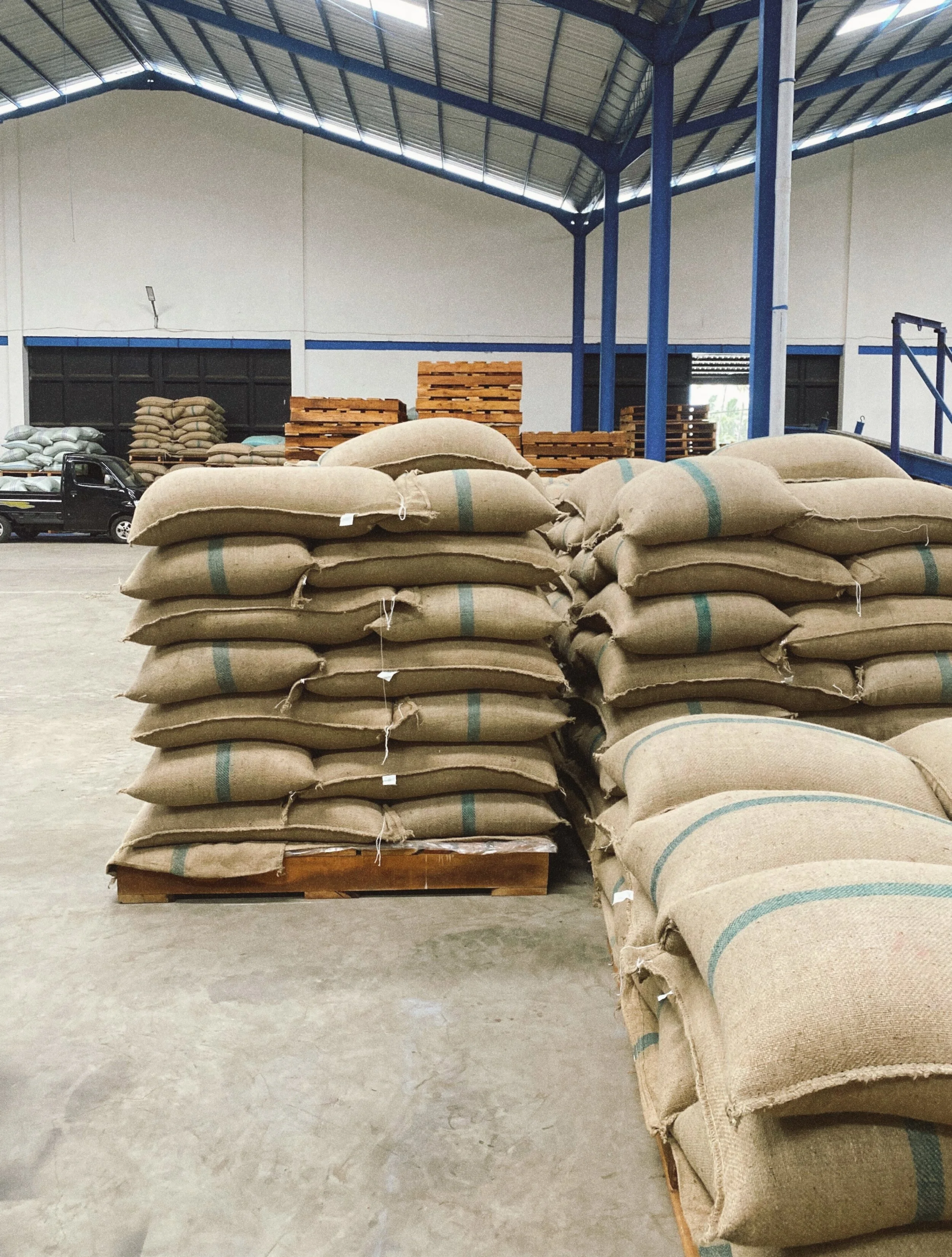 Green Coffee Jute Bags Stacked In Warehouse