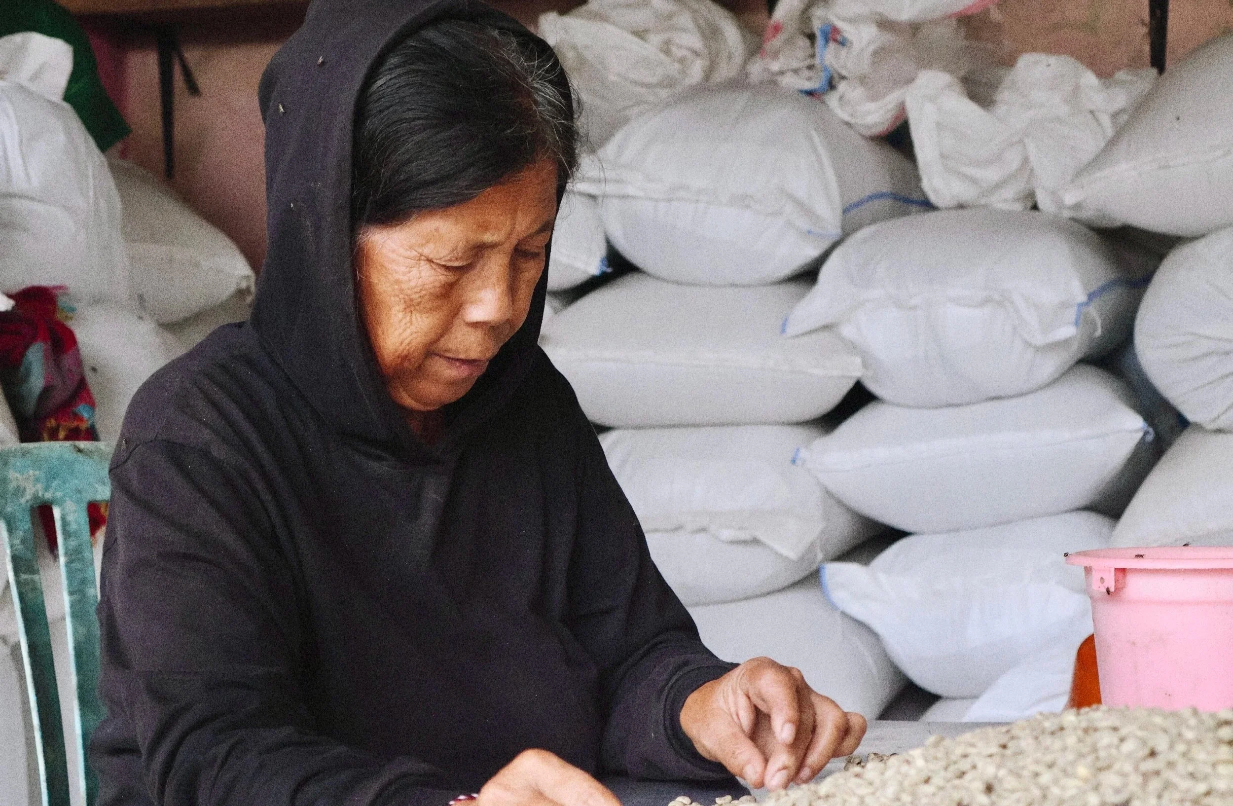 Farmer hand sorting specialty green coffee beans in one of our partner farms located in Bali - Premium Indonesian Green Coffee Beans Exporter