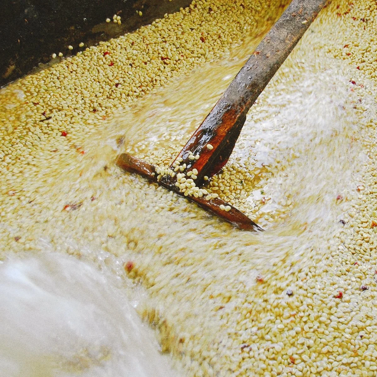 Green coffee beans in the middle of the full wash process.