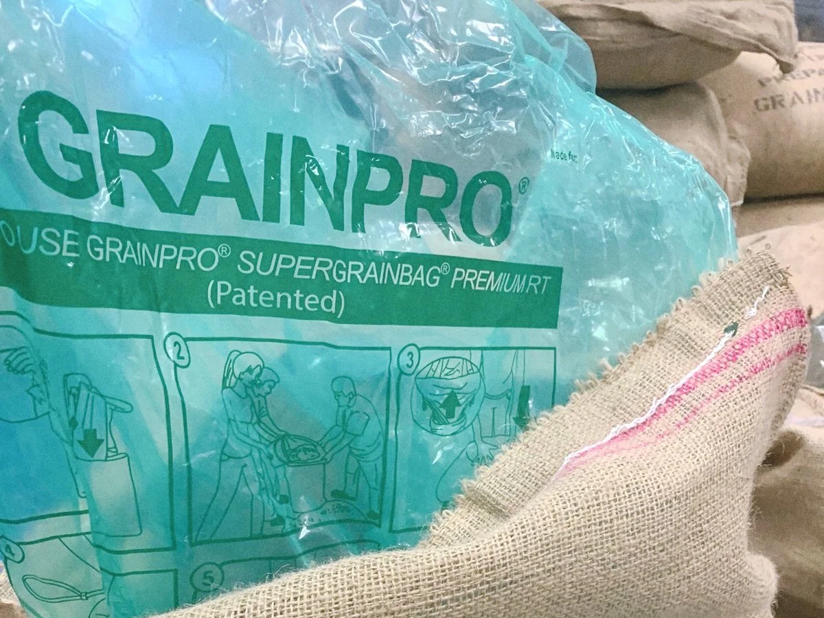 GRAINPRO Professional export logistics from Surabaya port delivering premium Indonesian green coffee beans worldwide