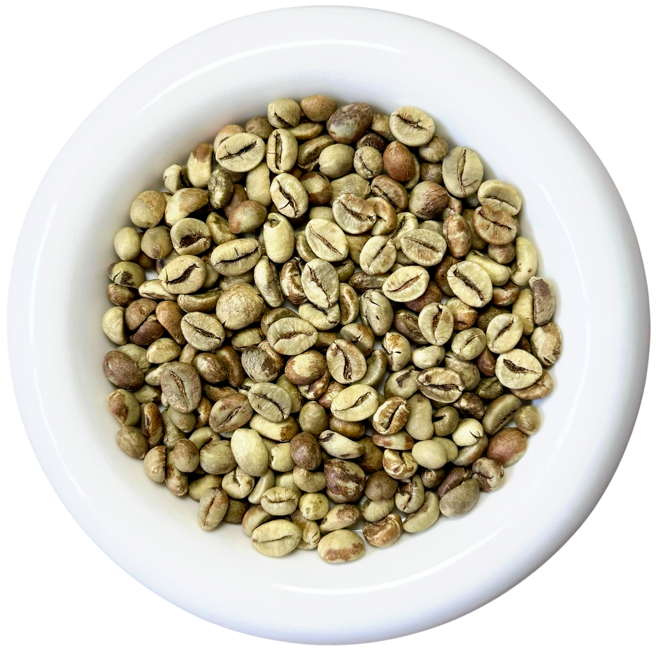 White bowl filled with premium Pupuan Robusta green coffee beans, Honey process, Grade 1 specialty coffee from Bali - Premium Indonesian Green Coffee Beans Exporter