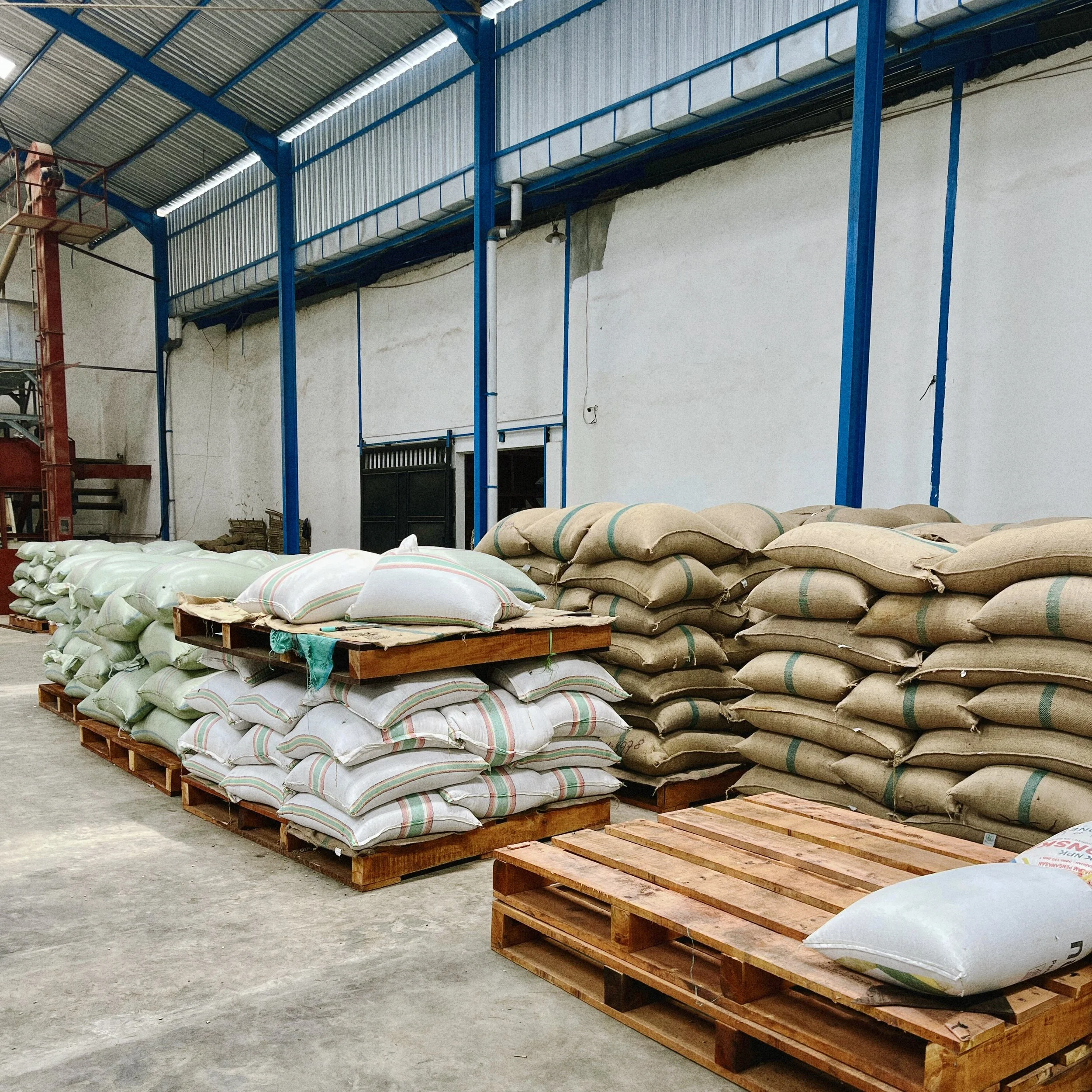 Stacked export-ready bags of traceable Indonesian green coffee beans at warehouse