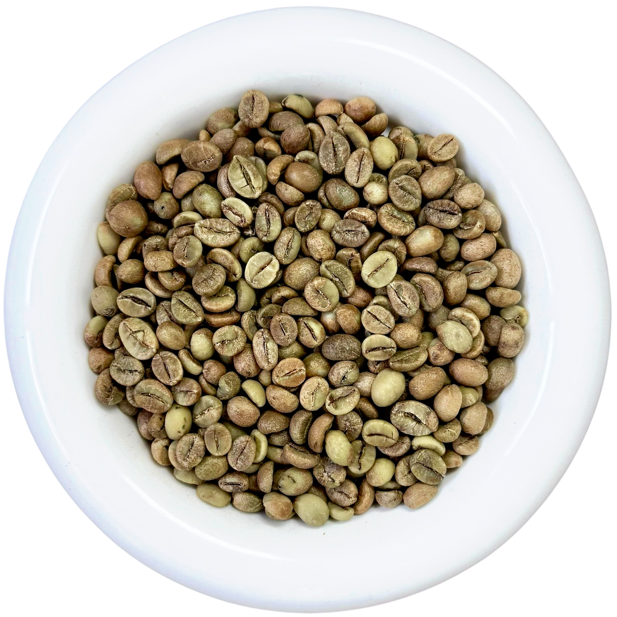 White bowl filled with premium Dampit Robusta green coffee beans, Natural process, Grade 1 specialty coffee from Bali - Premium Indonesian Green Coffee Beans Exporter