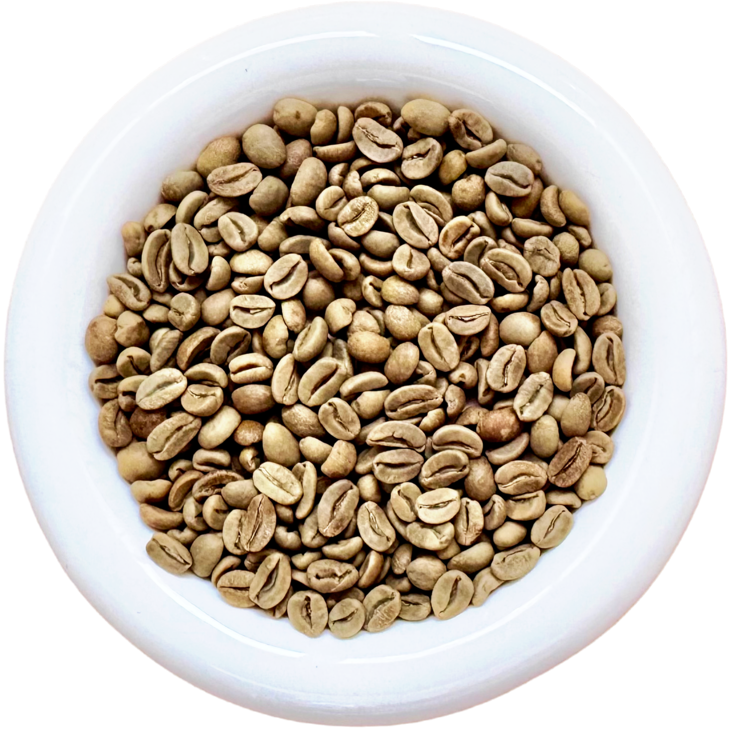 Gayo gold arabica green coffee beans in a white bowl