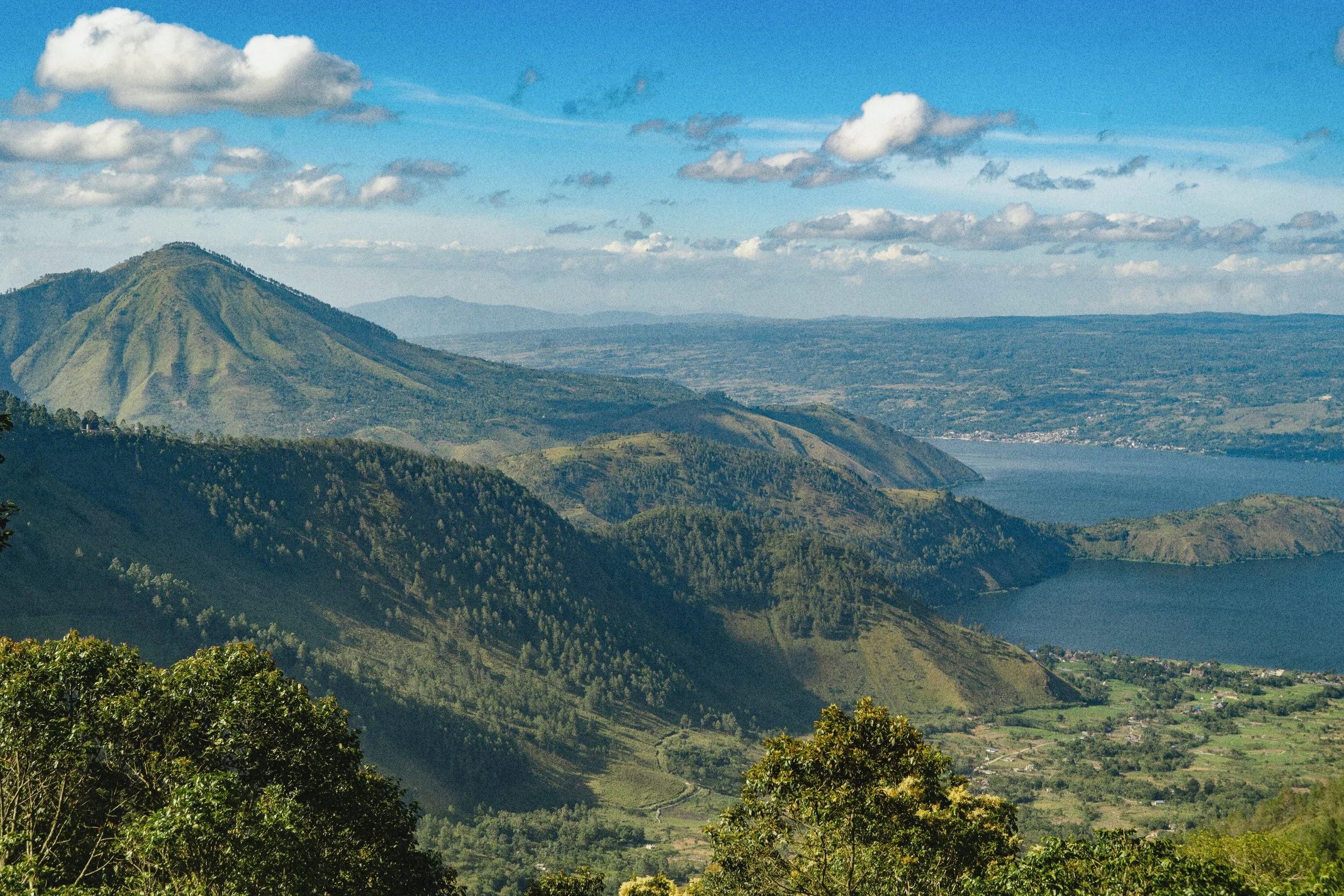 Biodiverse agroforestry systems and tropical coffee farms producing traceable Indonesian Arabica and Robusta
