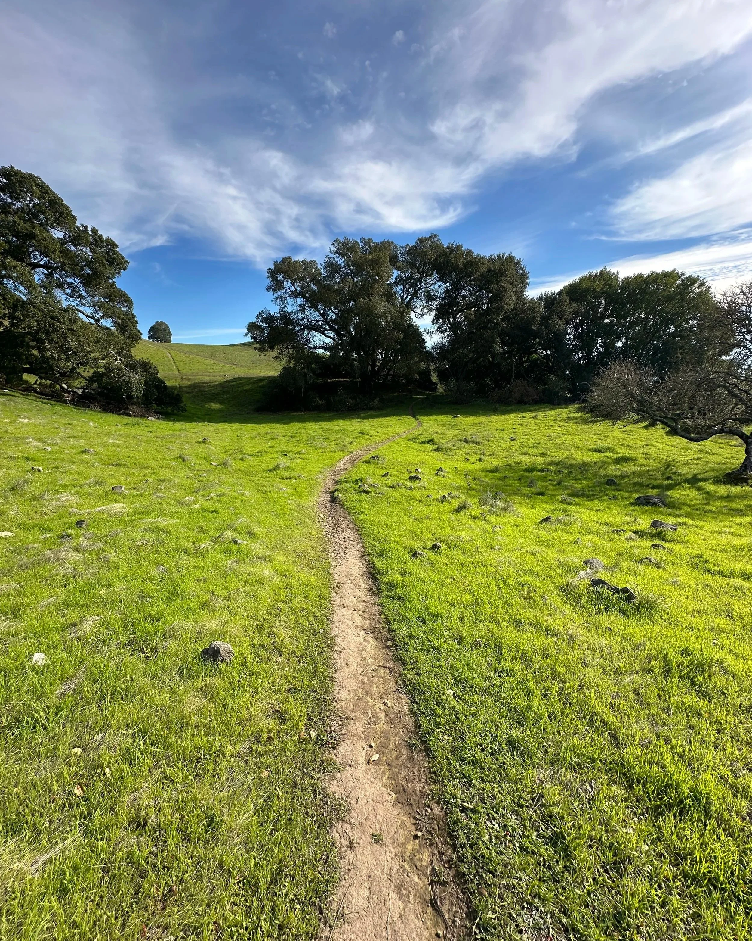 A narrow dirt trail winds through a grassy green hillside with trees on either side under a partly cloudy blue sky. The perfect setting for exploring one's inner environment, following the path that unfolds ahead, reflection and self-discovery.