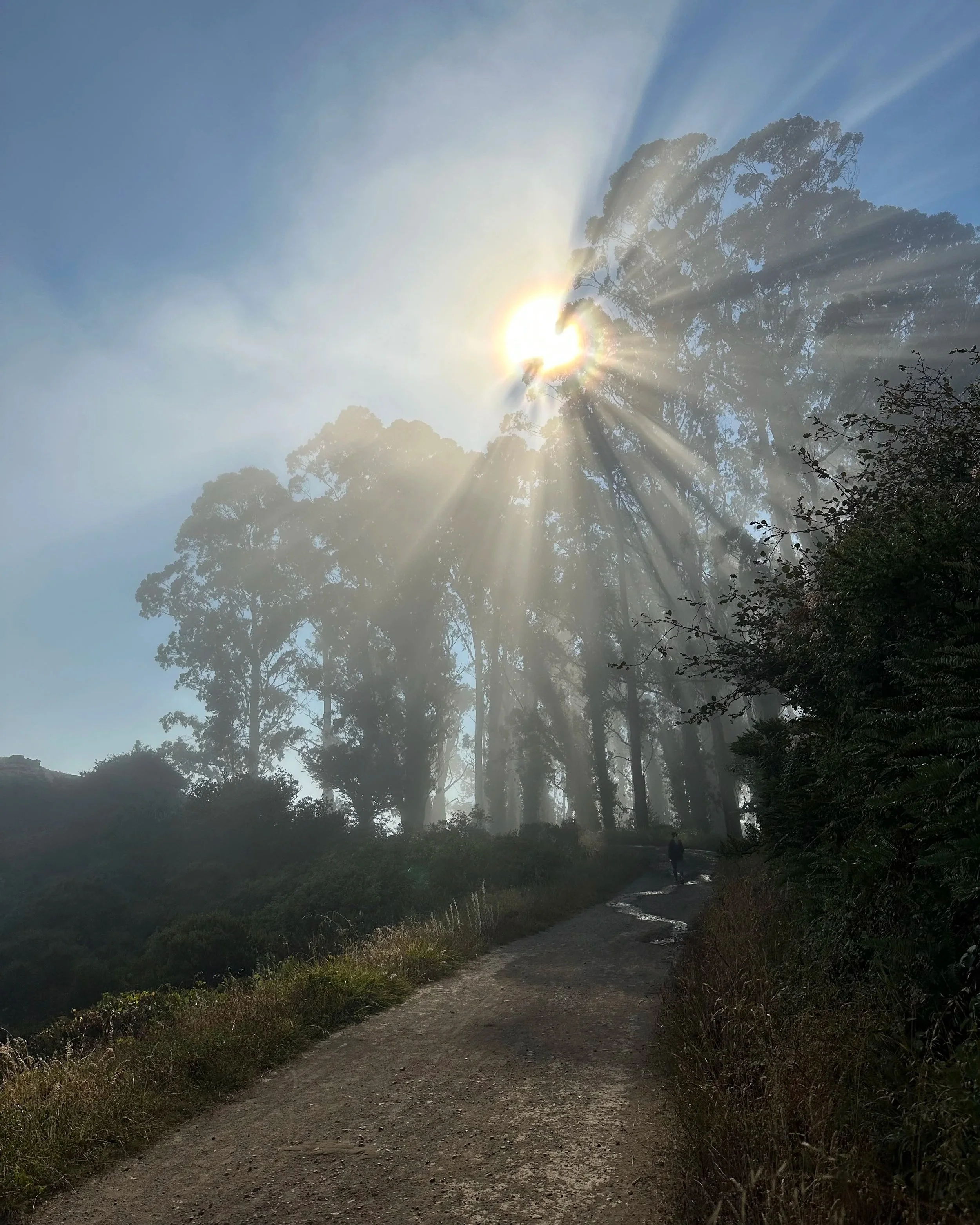 spiritual-alignment-calm-nature