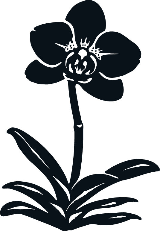 Silhouette of a flower with large petals, a stem, and leaves